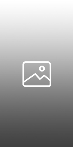SAMPLE IMAGE 4 250x500